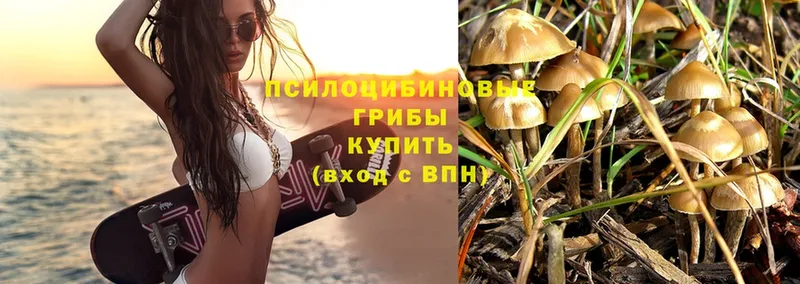 Псилоцибиновые грибы Psilocybe  hydra ССЫЛКА  Красноярск  где купить  